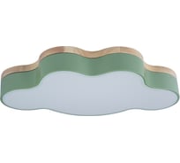 Накладной светильник LOFT IT Axel 4 10005/30 Green