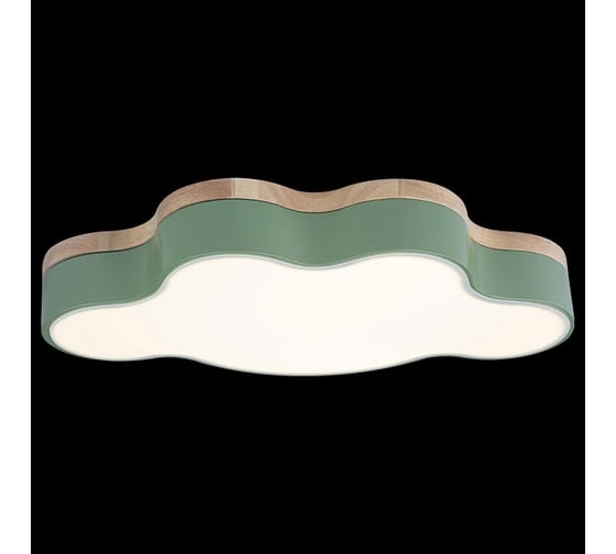 Накладной светильник LOFT IT Axel 4 10005/30 Green