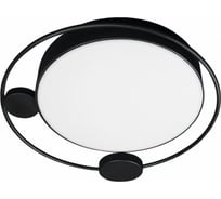 Накладной светильник LOFT IT Mike 10062