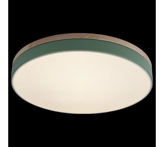 Накладной светильник LOFT IT Axel 10001/36 Green