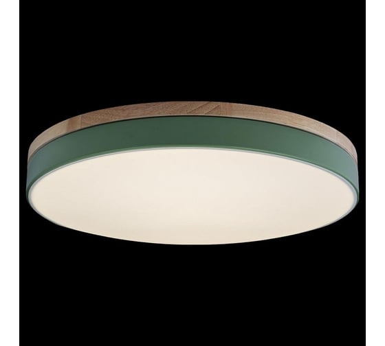Накладной светильник LOFT IT Axel 10001/36 Green
