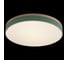 Накладной светильник LOFT IT Axel 10001/36 Green 3