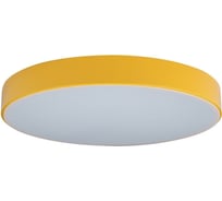 Накладной светильник LOFT IT Axel 1 10002/24 Yellow