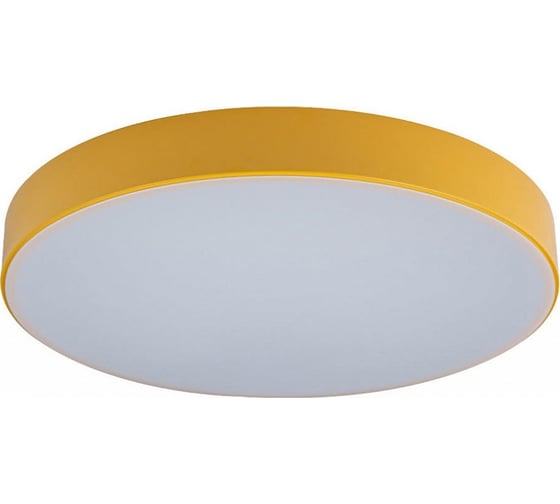 Накладной светильник LOFT IT Axel 1 10002/24 Yellow