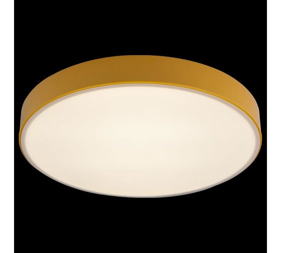 Накладной светильник LOFT IT Axel 1 10002/24 Yellow