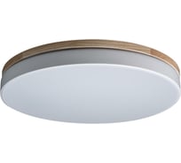 Накладной светильник LOFT IT Axel 10001/36 White