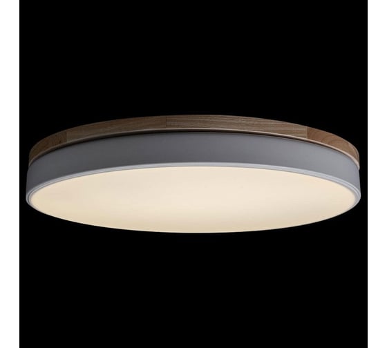 Накладной светильник LOFT IT Axel 10001/36 White
