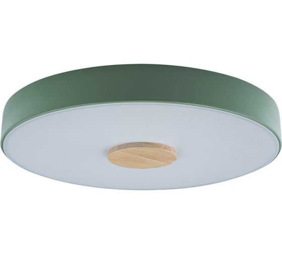 Накладной светильник LOFT IT Axel 2 10003/24 Green
