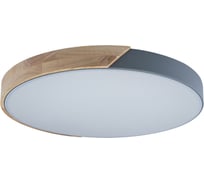 Накладной светильник LOFT IT Axel 3 10004/36 Grey