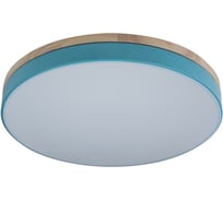 Накладной светильник LOFT IT Axel 10001/36 Blue