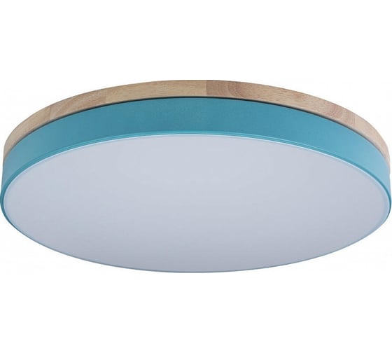 Накладной светильник LOFT IT Axel 10001/36 Blue