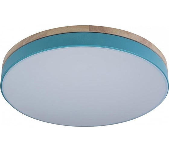 Накладной светильник LOFT IT Axel 10001/36 Blue