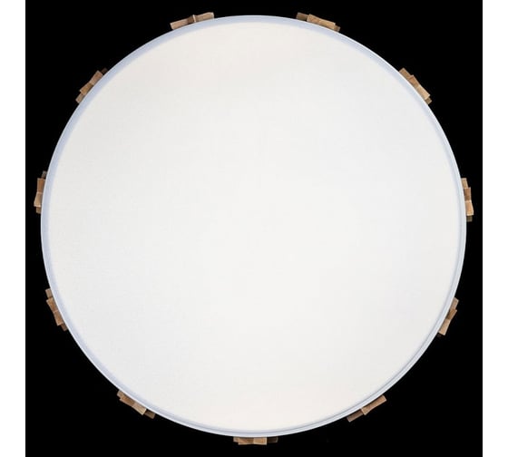 Накладной светильник LOFT IT Axel 5 10006/36 White