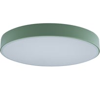 Накладной светильник LOFT IT Axel 1 10002/24 Green