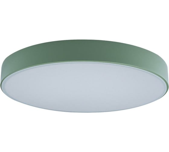 Накладной светильник LOFT IT Axel 1 10002/24 Green