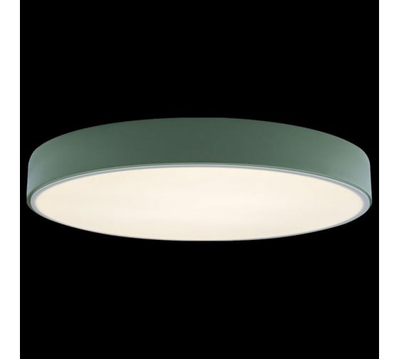 Накладной светильник LOFT IT Axel 1 10002/24 Green