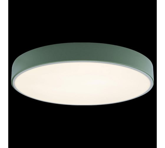 Накладной светильник LOFT IT Axel 1 10002/24 Green