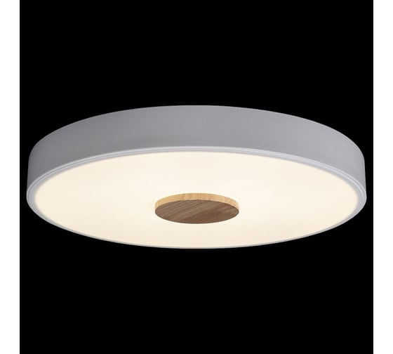 Накладной светильник LOFT IT Axel 2 10003/24 White