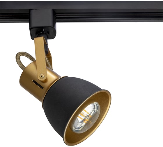 Потолочный светильник ARTE LAMP A1677PL-1GO