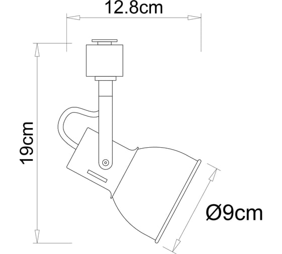 Потолочный светильник ARTE LAMP A1677PL-1GO