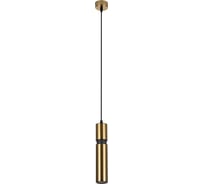 Подвесной светильник ARTE LAMP A3145SP-1PB