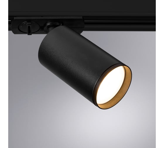 Потолочный светильник ARTE LAMP A1519PL-1BK