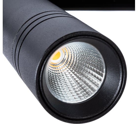 Потолочный светильник ARTE LAMP EXPERT 48В 13Вт 1100Лм 4000К 90 24 A A5721PL-1BK