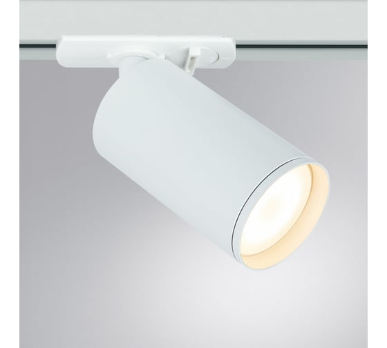 Потолочный светильник ARTE LAMP A1519PL-1WH