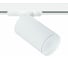 Потолочный светильник ARTE LAMP A1519PL-1WH 1