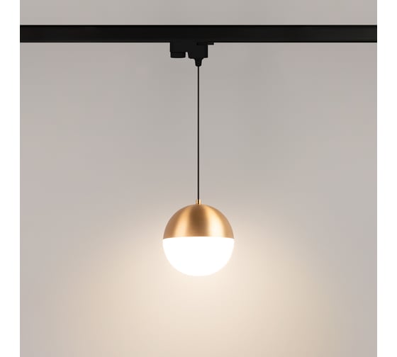 Светильник Arlight LGD-EMISFERO-TRACK-HANG-2TR-R150-11W Warm3000 IP20 Металл, 035942