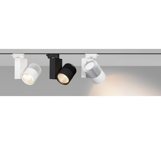 Светильник Arlight LGD-ARES-4TR-R100-40W Day4000 025537 1