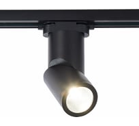 Светильник на штанге ST Luce ST650 ST650.446.10