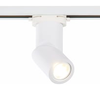 Светильник на штанге ST Luce ST650 ST650.506.01