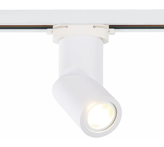 Светильник на штанге ST Luce ST650 ST650.506.01