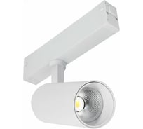 Светильник на штанге ST Luce ST660 ST660.596.10