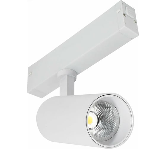 Светильник на штанге ST Luce ST660 ST660.596.10