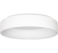 Светильник Arlight SP-TOR-RING-SURFACE-R600-42W Day4000 0221361