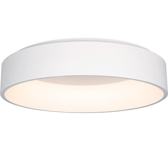 Светильник Arlight SP-TOR-RING-SURFACE-R600-42W Day4000 0221361