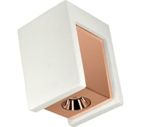 Накладной светильник LOFT IT Architect OL1073-WG