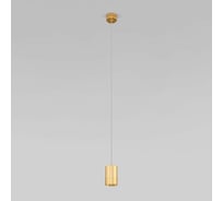 Подвесной светильник Eurosvet - 50248/1 led / золото a061426