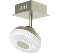 Потолочный светильник Мелодия Света 054-L10-1 SL 000021554