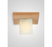 Потолочный светильник Мелодия Света 6424-1 NL 000036807