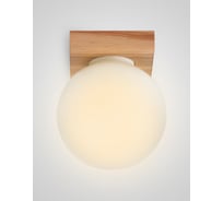 Потолочный светильник Мелодия Света 6426-1SP NL 000036819