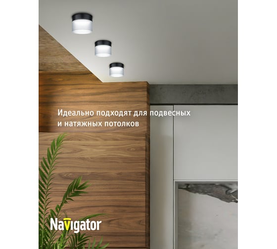 Светильник Navigator 93 375 ngx-c-004-02 93375