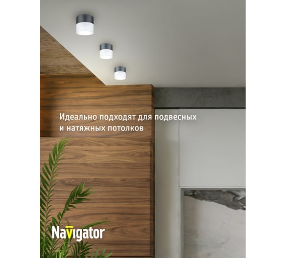 Светильник Navigator 93 306 ngx-c-008-02 93306