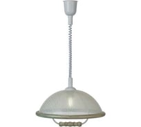 Подвесной светильник Мелодия Света PLC-003-1P-400 WT+Wood 000030833