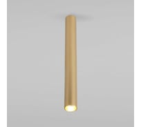 Накладной потолочный светильник Elektrostandard - pika / 6w (25030/led) золото a061120