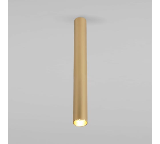 Накладной потолочный светильник Elektrostandard - pika / 6w (25030/led) золото a061120 1