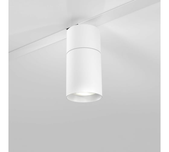 Трековый светильник Elektrostandard - slim magnetic r02 / 12w 4200k / (белый) 85012/01 a059185