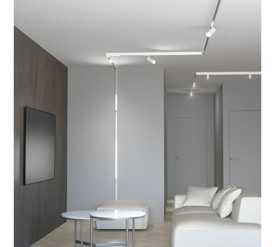 Трековый светильник Elektrostandard - slim magnetic r08 8w 4200k porte (белый) 85508/01 a061303